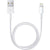 Apple USB Type-A to Lightning Cable 1.6' Cable Apple 
